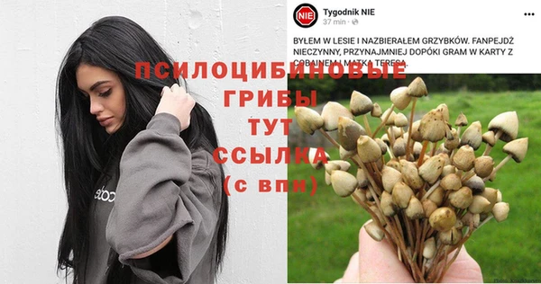 каннабис Алексин